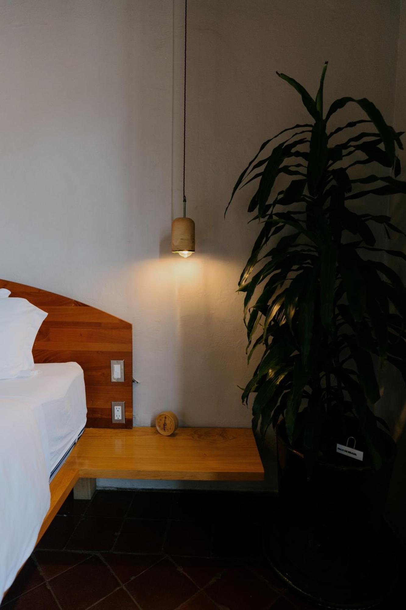 Grana B&B Oaxaca Εξωτερικό φωτογραφία